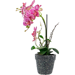 Декоративный искусственное растение Pink orchid варинант исполнения - 4 | Loft Concept в Кирове