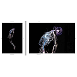 Монография художника Tavares Strachan - There is Light Somewhere варинант исполнения - 6 | Loft Concept в Кирове