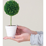 Декоративный искусственное растение Boxwood One варинант исполнения - 6 | Loft Concept в Кирове