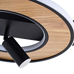 Потолочный светильник круглый GAVIN WOOD варинант исполнения - 2 | Loft Concept в Кирове