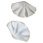 Фигурка из фарфора в виде одной створки ракушки Marine Tridacna варинант исполнения - 3 | Loft Concept в Кирове