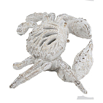 Статуэтка краб с детализированной текстурой в белом цвете Marine Accessories варинант исполнения - 4 | Loft Concept в Кирове