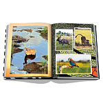 Подарочнный коллекционный фото альбом AFRICAN ADVENTURES NEW 2023 ASSOULINE HC UNBELIEVABLE ILLUSTRATIONS Safari варинант исполнения - 7 | Loft Concept в Кирове