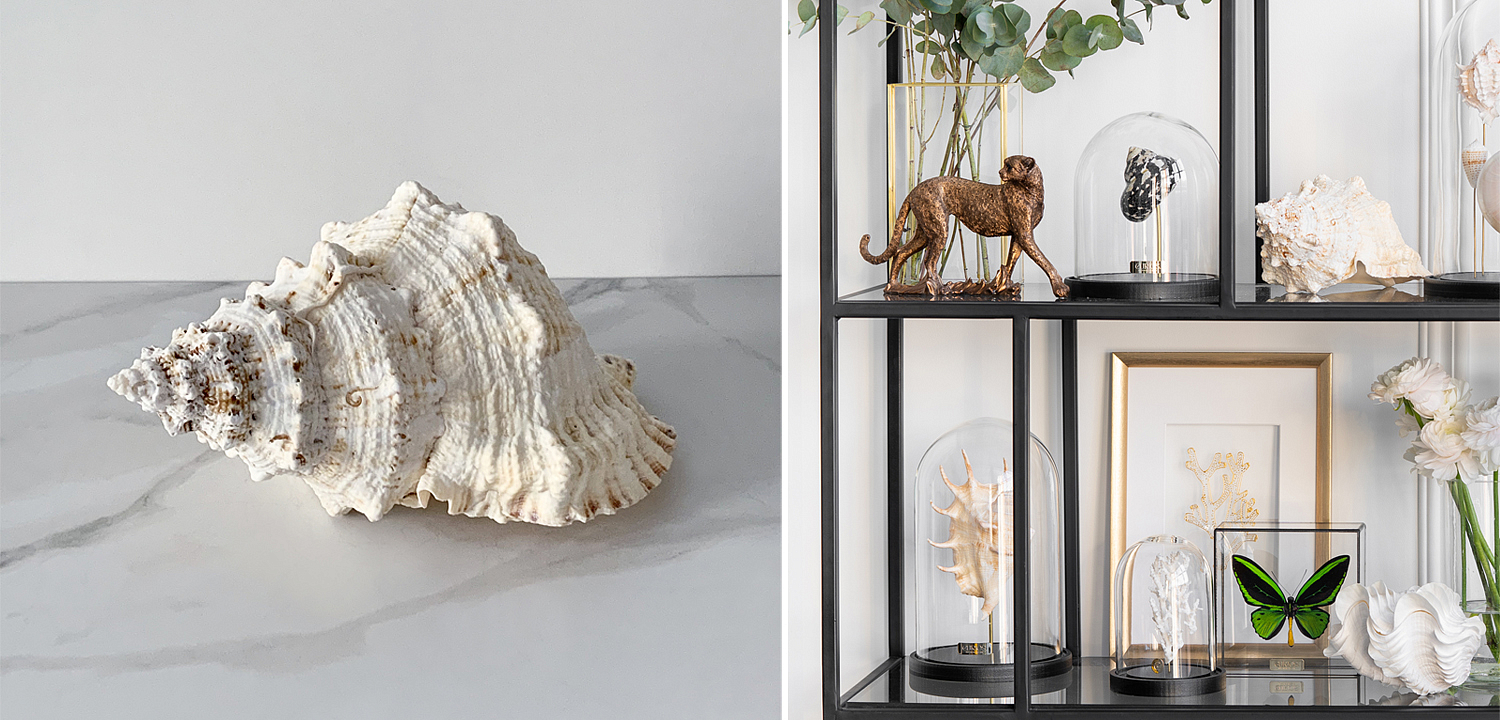 Статуэтка Bursa Bubo Shell - Loft-Concept в Кирове