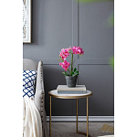 Декоративный искусственное растение Pink orchid варинант исполнения - 8 | Loft Concept в Кирове