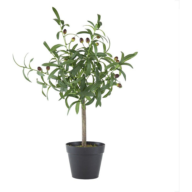 Декоративный искусственное растение Olive tree with fruits Зеленый Черный Коричневый Декоративный искусственное растение Olive tree with fruits Зеленый Черный Коричневый в Кирове | Loft Concept