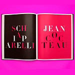 Коллекционный альбом Schiaparelli and the Artists варинант исполнения - 12 | Loft Concept в Кирове