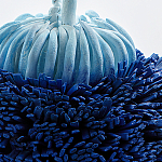 Статуэтка Синий тропический фрукт Tropical Fruit Pandora 1 варинант исполнения - 4 | Loft Concept в Кирове