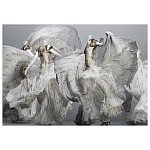 Alexander McQueen: Savage Beauty варинант исполнения - 2 | Loft Concept в Кирове