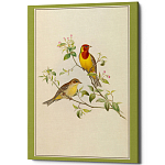 Постер на холсте с изображением птиц Blooming Birds Poster варинант исполнения - 12 | Loft Concept в Кирове