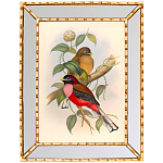 Постер с изображением птиц и цветов в зеркальной раме Blooming Birds Poster варинант исполнения - 7 | Loft Concept в Кирове