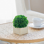 Декоративный искусственное растение Square boxwood варинант исполнения - 6 | Loft Concept в Кирове