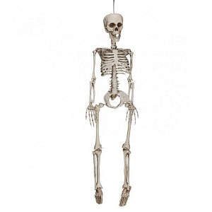 Аксессуар HALLOWEEN Skeleton