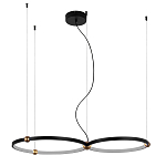 Люстра подвесная светодиодная черный металл Ring Horizontal варинант исполнения - 9 | Loft Concept в Кирове