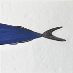 Плитка с узором Рыба пловчиха варинант исполнения - 6 | Loft Concept в Кирове