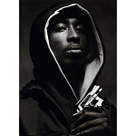 Подарочная книга величайший фотограф Альберт Уотсон The Vienna album Albert Watson варинант исполнения - 2 | Loft Concept в Кирове