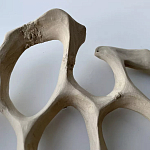 Блюдо «Бежевый коралл» варинант исполнения - 3 | Loft Concept в Кирове