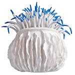 Статуэтка тропический фрукт Tropical Fruit White Blue варинант исполнения - 3 | Loft Concept в Кирове