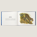 Лимитированная подарочная книга HERMES Fierce and Fragile book, English version варинант исполнения - 3 | Loft Concept в Кирове