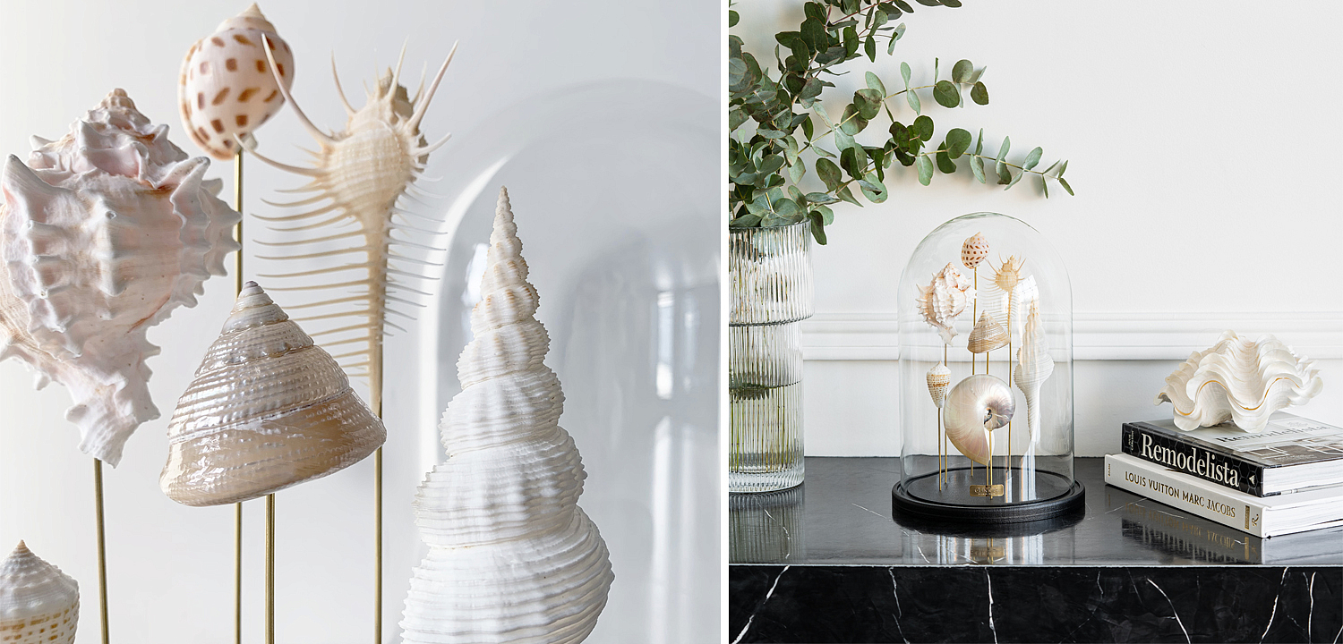 Статуэтка Shell Collection Glass Cloche 1 Статуэтка Shell Collection Glass Cloche 1 - Loft-Concept в Кирове
