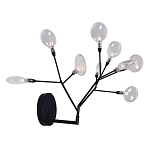 Бра в виде ветвей с прозрачными круглыми плафонами Moooi варинант исполнения - 2 | Loft Concept в Кирове