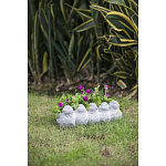 Кашпо Canaries варинант исполнения - 6 | Loft Concept в Кирове