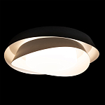 Потолочный светильник круглый черного цвета из металла Vita Cuna варинант исполнения - 1 | Loft Concept в Кирове