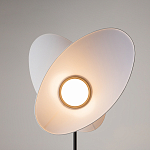 Напольный светильник Evolution 3000К 12Вт варинант исполнения - 5 | Loft Concept в Кирове