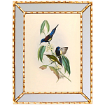 Постер с изображением птиц и цветов в зеркальной раме Blooming Birds Poster варинант исполнения - 5 | Loft Concept в Кирове