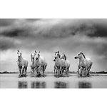 Книга Beusker. Look into my Eyes варинант исполнения - 4 | Loft Concept в Кирове