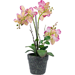 Декоративный искусственное растение Pink orchid варинант исполнения - 5 | Loft Concept в Кирове