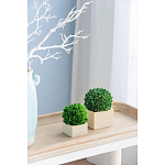 Декоративный искусственное растение Square boxwood варинант исполнения - 5 | Loft Concept в Кирове