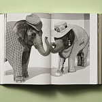 Книга в подарок творческий путь Брюса Вебера Bruce Weber. My Education варинант исполнения - 6 | Loft Concept в Кирове