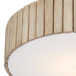 Потолочный светильник круглый светодиодный Contrasting Elements варинант исполнения - 1 | Loft Concept в Кирове