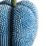 Статуэтка тропический фрукт Tropical Fruit blue варинант исполнения - 3 | Loft Concept в Кирове