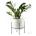 Кашпо из керамики Elevated Planters 32 варинант исполнения - 11 | Loft Concept в Кирове