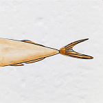 Плитка с узором Рыба Русалка варинант исполнения - 6 | Loft Concept в Кирове