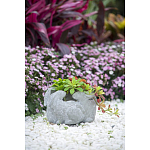 Кашпо A collection of baby rabbits варинант исполнения - 9 | Loft Concept в Кирове