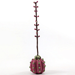 Статуэтка тропический фрукт Pandora Tropical Fruit Tall Pink Green варинант исполнения - 3 | Loft Concept в Кирове