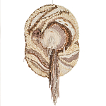 Овальный Современный Гобелен Абстракция в бежевых тонах Shallow варинант исполнения - 7 | Loft Concept в Кирове