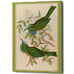 Постер на холсте с изображением птиц Blooming Birds Poster варинант исполнения - 2 | Loft Concept в Кирове