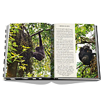 Подарочнный коллекционный фото альбом AFRICAN ADVENTURES NEW 2023 ASSOULINE HC UNBELIEVABLE ILLUSTRATIONS Safari варинант исполнения - 8 | Loft Concept в Кирове