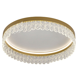 Потолочный светодиодный светильник Pettico Gold