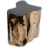 Стул из окаменелого дерева Petrified Wood Black варинант исполнения - 1 | Loft Concept в Кирове