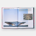 Radical Architecture of the Future варинант исполнения - 4 | Loft Concept в Кирове