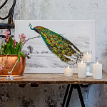 Постер на холсте с изображением павлина на ветке Majestic Peacock on a Tree Poster варинант исполнения - 2 | Loft Concept в Кирове