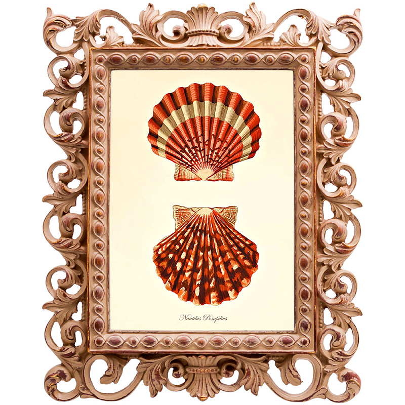 Постер Red Scallop Poster Бежевый Красный в Кирове | Loft Concept 