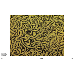 Редкое подарочное издание Yayoi Kusama: 1945 to Now варинант исполнения - 7 | Loft Concept в Кирове