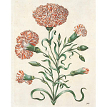 Книга цветов 22 постера Maria Sibylla Merian: 22 Pull-Out Posters варинант исполнения - 4 | Loft Concept в Кирове