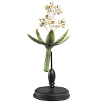 Статуэтка Wonderboom варинант исполнения - 1 | Loft Concept в Кирове